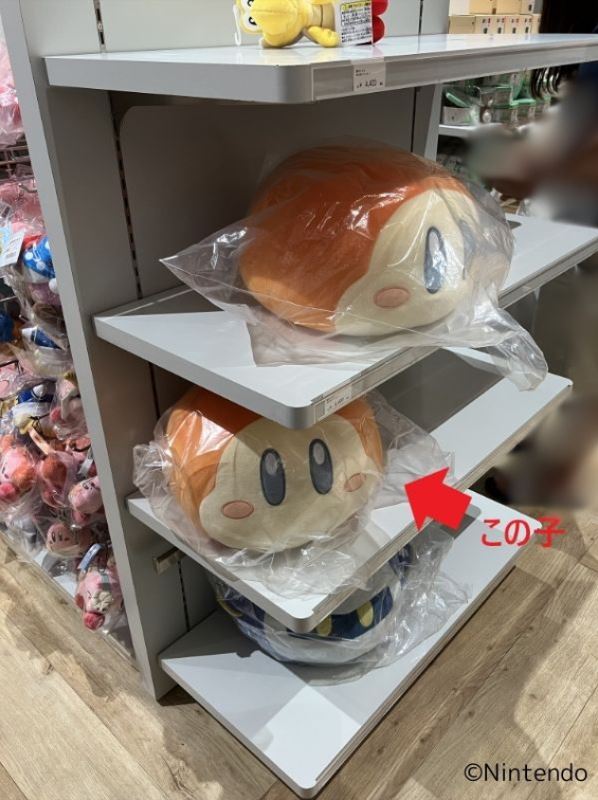 Nintendo TOKYOの店内にある星のカービィの商品棚。側面の棚にワドルディとメタナイトのぬいぐるみが置かれている。真ん中の棚のワドルディのぬいぐるみに赤い矢印をつけ「この子」と記載。右下に©Nintendo