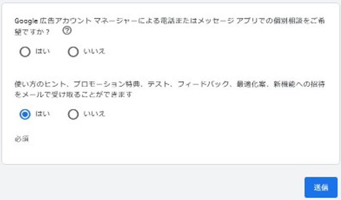 アカウントとお支払いの詳細を入力する画面の下部。上から個別相談の希望の有無、ヒント等のメールでの受け取りの有無がある。