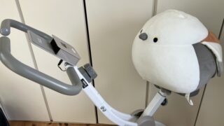 フィットネスバイク開脚時左側面の上部拡大写真。座面にはシマエナガのぬいぐるみが載っている。