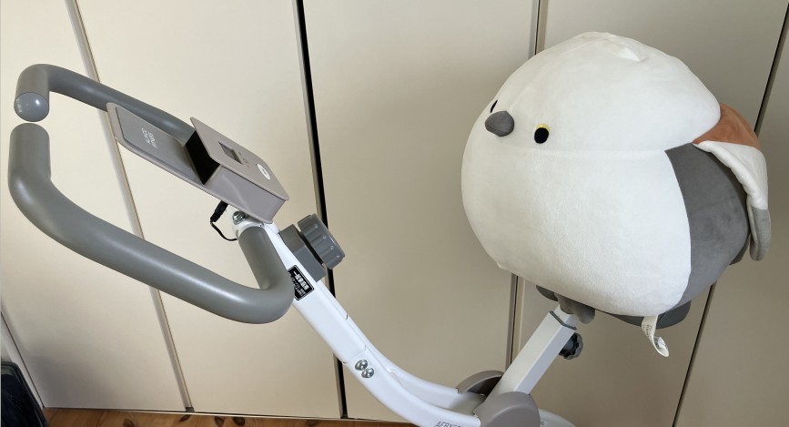 フィットネスバイク開脚時左側面の上部拡大写真。座面にはシマエナガのぬいぐるみが載っている。