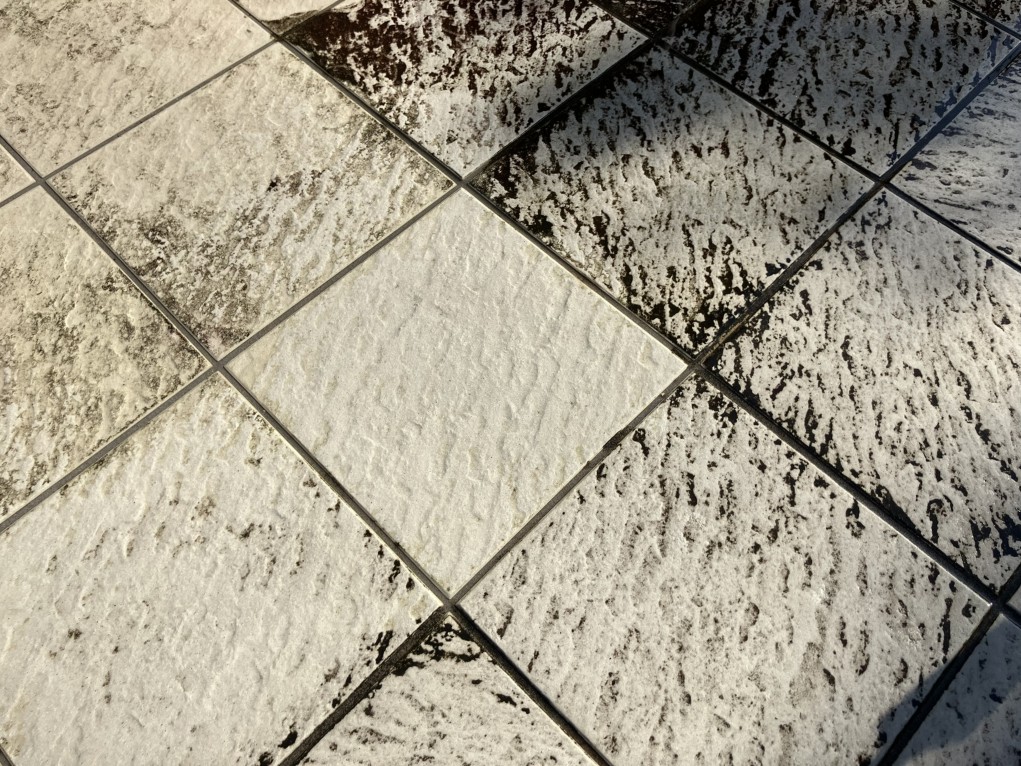 玄関ポーチのタイル 1タイルのみ洗浄