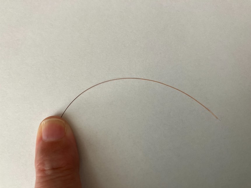 ヘナ６ヶ月後の髪の毛（１本）。毛先にはまだ毛染めが残っており、根元はヘナ染めのオレンジになっている。毛先から根元にかけてグラデーションになっている。