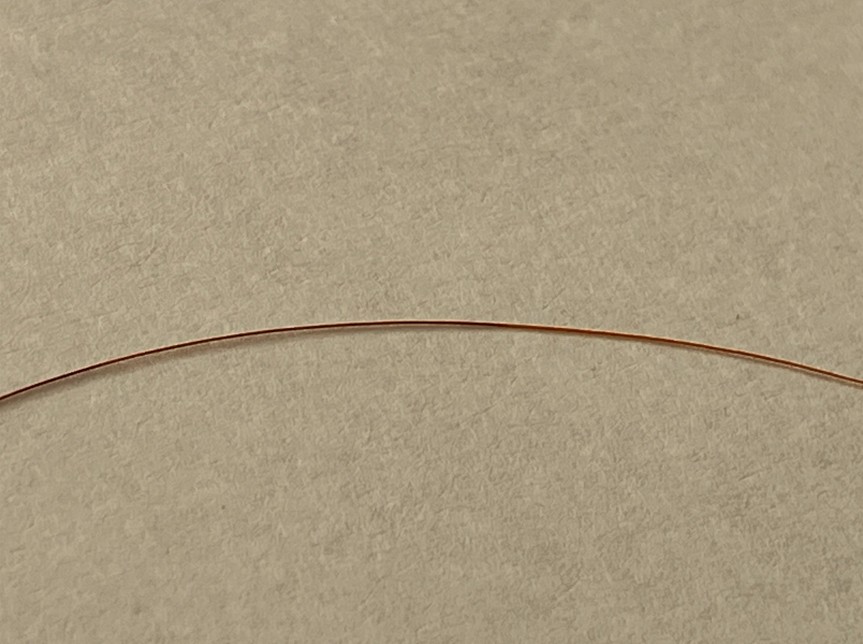 ヘナ６ヶ月後の髪の毛（１本）の真ん中部分を一部拡大。毛染めとヘナ染めの教科があるように見える。