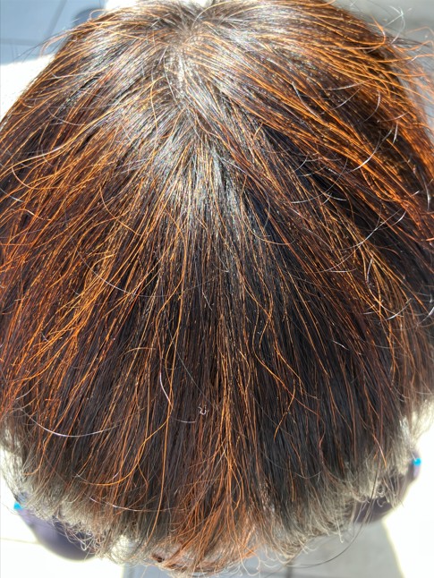ヘナ６ヶ月後の頭部写真。全体的にオレンジが混ざったようになっている。
